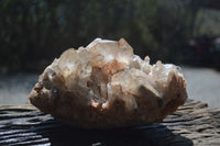 Natural Smokey Phantom Quartz Cluster x 1 From Luena, Congo