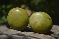 Polished Green Opal Free Forms x 12 From Antsirabe, Madagascar