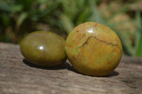 Polished Green Opal Free Forms x 12 From Antsirabe, Madagascar