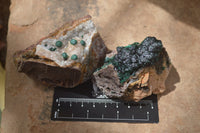 Natural Ball Malachite On Quartz Matrix Specimens x 3 From Kambove, Congo