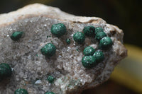 Natural Ball Malachite On Quartz Matrix Specimens x 3 From Kambove, Congo