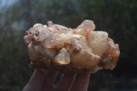 Natural Red Hematoid Quartz Clusters x 2 From Karoi, Zimbabwe