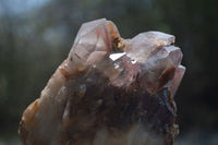 Natural Red Hematoid Quartz Clusters x 2 From Karoi, Zimbabwe