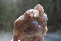 Natural Red Hematoid Quartz Clusters x 2 From Karoi, Zimbabwe