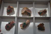 Natural Dioptase On Dolomite Specimens x 6 From Likasi, Congo