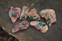 Natural Dioptase On Dolomite Specimens x 6 From Likasi, Congo