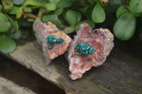 Natural Dioptase On Dolomite Specimens x 6 From Likasi, Congo