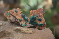 Natural Dioptase On Dolomite Specimens x 6 From Likasi, Congo