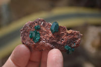 Natural Dioptase On Dolomite Specimens x 6 From Likasi, Congo