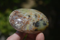 Polished Dendritic Opal Palm Stones x 12 From Moralambo, Madagascar