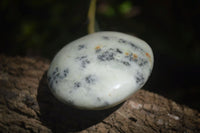 Polished Dendritic Opal Palm Stones x 12 From Moralambo, Madagascar