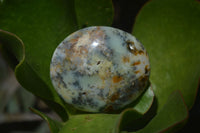 Polished Dendritic Opal Palm Stones x 12 From Moralambo, Madagascar