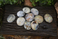 Polished Dendritic Opal Palm Stones x 12 From Moralambo, Madagascar