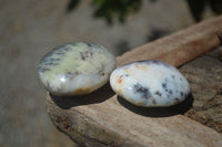 Polished Dendritic Opal Palm Stones x 12 From Moralambo, Madagascar