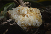 Natural Limonite Quartz Clusters x 12 From Solwezi, Zambia