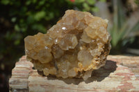 Natural Limonite Quartz Clusters x 12 From Solwezi, Zambia