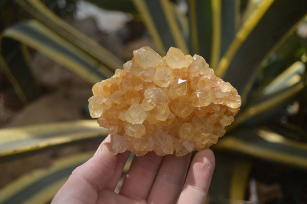 Natural Limonite Quartz Clusters x 12 From Solwezi, Zambia