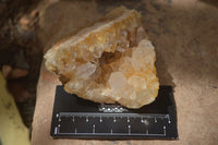 Natural Limonite Quartz Clusters x 12 From Solwezi, Zambia