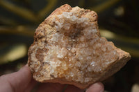 Natural Limonite Quartz Clusters x 12 From Solwezi, Zambia