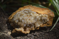 Natural Limonite Quartz Clusters x 12 From Solwezi, Zambia