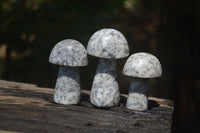 Polished Granite Mushroom Carvings x 6 From Zimbabwe