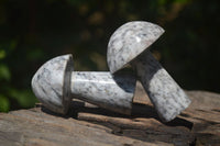 Polished Granite Mushroom Carvings x 6 From Zimbabwe