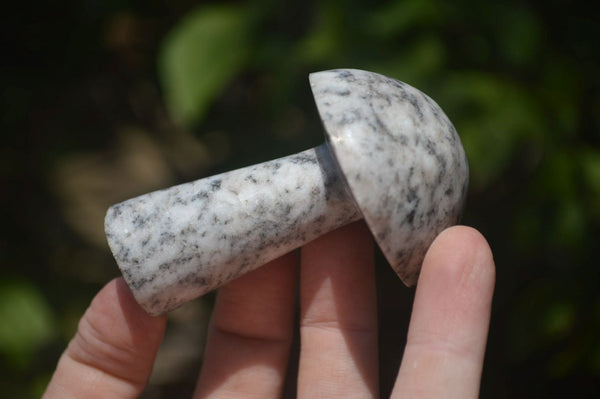 Polished Granite Mushroom Carvings x 6 From Zimbabwe