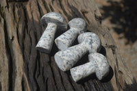 Polished Granite Mushroom Carvings x 6 From Zimbabwe