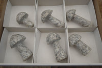 Polished Granite Mushroom Carvings x 6 From Zimbabwe