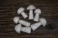 Polished Granite Mushroom Carvings x 6 From Zimbabwe