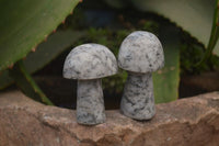 Polished Granite Mushroom Carvings x 6 From Zimbabwe