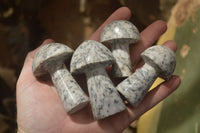 Polished Granite Mushroom Carvings x 6 From Zimbabwe