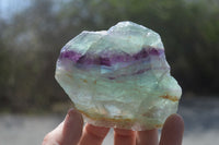 Natural Watermelon Fluorite Cobbed Specimens x 8 From Uis, Namibia