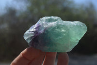 Natural Watermelon Fluorite Cobbed Specimens x 8 From Uis, Namibia