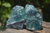 Natural Watermelon Fluorite Cobbed Specimens x 8 From Uis, Namibia