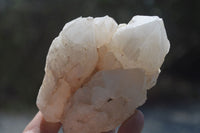 Natural Pineapple Candle Quartz Crystal Specimens x 3 Antsirabe, Madagascar