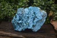 Natural Botryoidal Chrysocolla Specimen x 1 From Kulukuluku, Congo