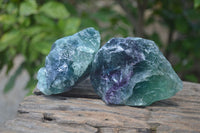 Natural Watermelon Fluorite Cobbed Specimens x 9 From Uis, Namibia