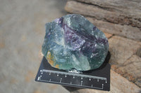 Natural Watermelon Fluorite Cobbed Specimens x 9 From Uis, Namibia