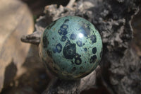 Polished Stromatolite Jasper Spheres x 3 From Katsepy, Madagascar