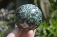 Polished Stromatolite Jasper Spheres x 3 From Katsepy, Madagascar