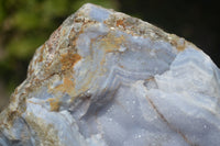 Natural Crystalline Blue Lace Agate Specimen x 1 From Namibia