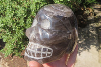 Polished Smokey Quartz Skull Carving x 1 From Madagascar