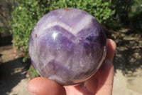 Polished Chevron Amethyst Spheres x 2 From Madagascar