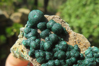 Natural Ball Malachite On Quartz Matrix Specimens x 6 From Kambove, Congo