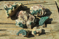 Natural Ball Malachite On Quartz Matrix Specimens x 6 From Kambove, Congo