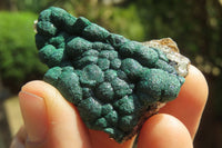 Natural Ball Malachite On Quartz Matrix Specimens x 6 From Kambove, Congo