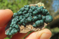 Natural Ball Malachite On Quartz Matrix Specimens x 6 From Kambove, Congo