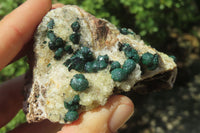 Natural Ball Malachite On Quartz Matrix Specimens x 6 From Kambove, Congo