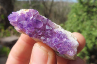 Natural Amethystos Amethyst Specimens x 35 From Kwaggafontein, South Africa